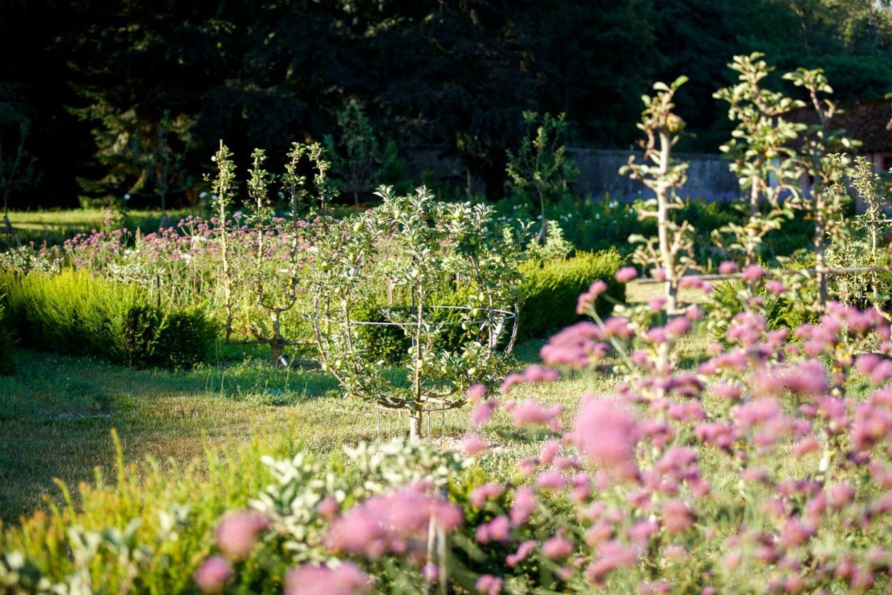 Relais & Chateau Louise De La Valliere Reugny  エクステリア 写真